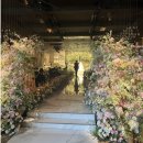 둔유2로 | [D-330 WEDDING] 파티웨딩유 정계약 후기♥