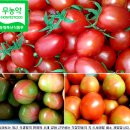 성원2농장 이미지