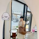 몽쉘포포 이미지