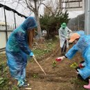 온양4동 실옥로 이미지