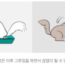 (주)경미양과 이미지