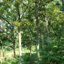 문화의숨결 이미지