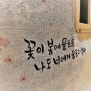 통영 동피랑 벽화마을 소개, 예쁜 그림과 멋진 글 감상 후기, 입구 위치 및 주차 정보