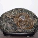 동해웰빙레포츠타운 국민체육센터 이미지