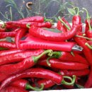 이순희농장 이미지