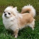 동원로얄듀크 앞 이미지