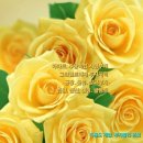 내곡동-1 이미지