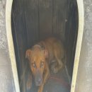 상방1길 이미지