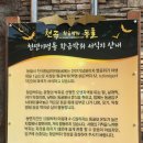 동해시-05 네이버블로그