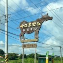 원형목장 | 예산 아그로랜드 태신목장 아기랑 가볼만한 곳 (동선,트랙터 꿀팁)