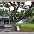 길머리 공원 이미지