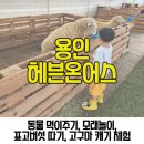 경인동물농장 네이버블로그
