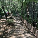 창진산장휴게소 이미지