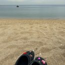 [강릉] 1박 2일 알찬 강릉여행 (맛집전체모음/안목해변/송정해수욕장소나무/리베르떼펜션)