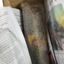식탁에봄 이미지