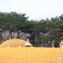 정현정비 이미지