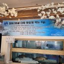 회랑장어랑
