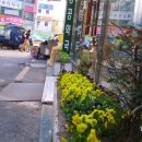 새로이약국 이미지