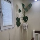 러블리펫108 네이버블로그