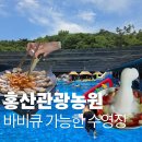 충남 바비큐 가능한 수영장 "홍산관광농원" 평상 이용 후기