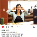 담디