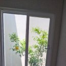 여리재 | [제주애월펜션] 나만을 위한 온전한 쉼, 감성 가득한 독채 펜션 '여리재' 솔로 여행 후기~🍀