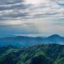 블루마운틴 이미지