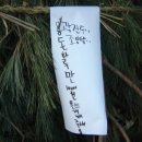 상1리 이미지