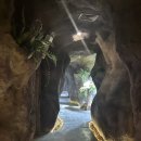 동굴왕족 이미지