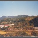 대청호수로 이미지