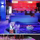 뉴티파니라이브 - 24436 | 뉴티파니라이브