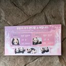 이니지아 이미지
