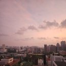 마스타카닥터 | 시댁과 가족여행 in 싱가포르(2)- 숙소추천, 윈덤 싱가포르 호텔, 소피텔 센토사 리조트