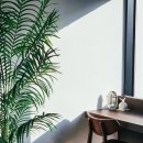 아침햇살한의원 이미지