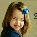 우리집강아지 이미지