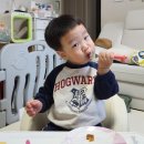 명지헤어시보