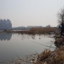 검단매점