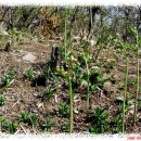 남양목장 이미지