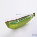 인쇄광고