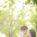 웨딩브라이트 네이버블로그
