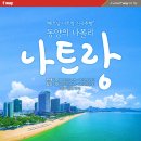 [NEWS] 제주항공, 좌석 간격 넓힌 &#39;뉴클래스&#39; 도입 외 6건