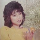 김태정 카카오 검색결과