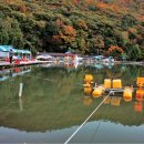 돌다리낚시터 이미지