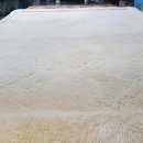 수지세탁 이미지