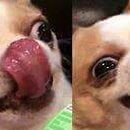 국민닭발 이미지