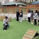 사회적협동조합반려동물 이미지