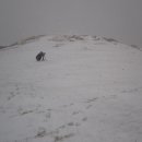 강정동-69 이미지