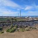 곽지하우스 민박 이미지