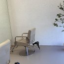 제시 펫 살롱 | 기분 전환 제대로! 인생 머리 찾은 나만의 비밀 장소 공개해요