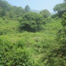 사천한보빌라 이미지